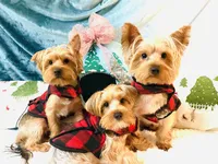 processed/626f5e66-b083-4a2f-a2c1-0894242b2ebf/facility/e7806168-5aa9-4edd-aee3-582983cd248c