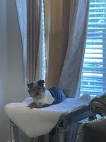 processed/626f5e66-b083-4a2f-a2c1-0894242b2ebf/facility/fa9196ea-cff7-4098-bba1-5b31a282f384