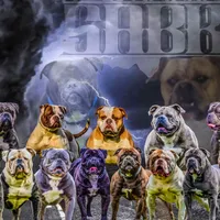 processed/627234d7-b46c-49bd-bdde-c10d36223481/facility/03beab2e-1f63-4ed4-934a-31b7129029f1