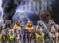 processed/627234d7-b46c-49bd-bdde-c10d36223481/facility/03beab2e-1f63-4ed4-934a-31b7129029f1