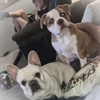 processed/627234d7-b46c-49bd-bdde-c10d36223481/facility/10649e6f-8635-4cbf-9970-2fa71bd11723