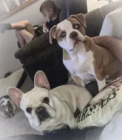 processed/627234d7-b46c-49bd-bdde-c10d36223481/facility/10649e6f-8635-4cbf-9970-2fa71bd11723