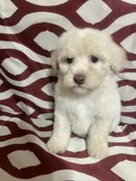 processed/628046c1-a961-47cd-ad60-b48bfb929072/listing/8616c17c-14f9-4373-8187-4f2b5b8bbdc1/1c86f363-c020-42f1-a59b-595427cafee0