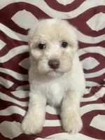 processed/628046c1-a961-47cd-ad60-b48bfb929072/listing/8616c17c-14f9-4373-8187-4f2b5b8bbdc1/278acc71-b3af-4ce3-b20a-af70ca82a3e7