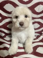 processed/628046c1-a961-47cd-ad60-b48bfb929072/listing/8616c17c-14f9-4373-8187-4f2b5b8bbdc1/c79362f4-9c3a-403b-903b-6e13cccdd8ad