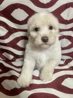 processed/628046c1-a961-47cd-ad60-b48bfb929072/listing/8616c17c-14f9-4373-8187-4f2b5b8bbdc1/e06d34da-bf89-4efb-95d2-4167c68e9945