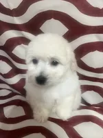 processed/628046c1-a961-47cd-ad60-b48bfb929072/listing/861f981b-d460-49a2-b1f0-90ff636a79eb/652cfe48-79a8-4564-97fa-5dc62b1f3362