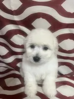 processed/628046c1-a961-47cd-ad60-b48bfb929072/listing/861f981b-d460-49a2-b1f0-90ff636a79eb/88cfd8c4-bf59-4bc8-b62d-d6e77a8b2ebe