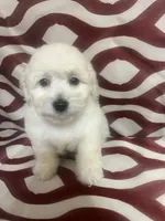 processed/628046c1-a961-47cd-ad60-b48bfb929072/listing/861f981b-d460-49a2-b1f0-90ff636a79eb/d7f1f5aa-2523-4bed-a207-1151e724019b