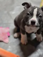 processed/629514cf-1bca-4014-81e1-359d81c0bf61/listing/2945bd65-a1f8-4d75-a8c3-9bbddbc98464/d41891f1-0181-4fee-9107-429fd5f9fe51