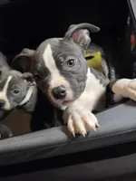 processed/629514cf-1bca-4014-81e1-359d81c0bf61/listing/7878b5d4-9918-46db-b571-4bff7b209463/b64ac025-408f-4ca5-9326-6de299af9316