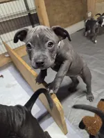 processed/629514cf-1bca-4014-81e1-359d81c0bf61/listing/8fa2f3eb-c220-4695-857e-57bfee762d07/064f6956-fda0-4070-9cc5-8d5400d75410