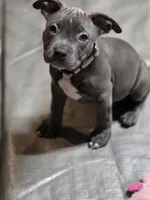 processed/629514cf-1bca-4014-81e1-359d81c0bf61/listing/8fa2f3eb-c220-4695-857e-57bfee762d07/ad87768b-c7d3-4951-b222-e8a6837d8dcb