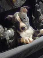 processed/629514cf-1bca-4014-81e1-359d81c0bf61/listing/a7d74c30-e18c-4393-9186-e9ec8b88c8c7/23e07fa2-80ac-4a81-af45-4d10981e11ee