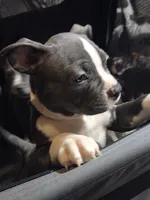 processed/629514cf-1bca-4014-81e1-359d81c0bf61/listing/a7d74c30-e18c-4393-9186-e9ec8b88c8c7/c740cff7-e2b1-4fae-9a8f-2e4618dff3e3