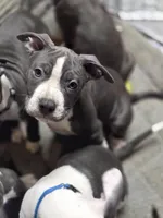 processed/629514cf-1bca-4014-81e1-359d81c0bf61/listing/a86076dd-bc79-482b-9e4a-3d9fd437f3c2/15f19741-c1cc-4ed3-b778-d896684886f6