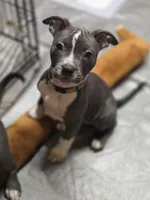 processed/629514cf-1bca-4014-81e1-359d81c0bf61/listing/ba341c52-3ea8-4dde-beb1-e4de77f58341/e8fdd13b-3401-43a6-93bc-a08c5448d9ab