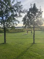 Shepherd , a male Goldendoodle for sale in Carlton, MN – 10 of 10