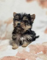 processed/62a75dc0-a6e6-4dad-a741-620cb29c5cdc/listing/73dd205d-1f92-406c-85fa-ab6fb1a547ef/0814f8a0-2373-477d-be22-7dae0dc994dd