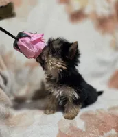 processed/62a75dc0-a6e6-4dad-a741-620cb29c5cdc/listing/73dd205d-1f92-406c-85fa-ab6fb1a547ef/2156307d-ef3a-4cd6-8eff-bfe5d16869d2