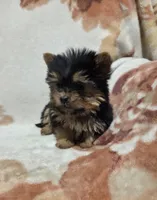 processed/62a75dc0-a6e6-4dad-a741-620cb29c5cdc/listing/73dd205d-1f92-406c-85fa-ab6fb1a547ef/34cbf38e-95aa-4bf3-a9f5-3efb2c1cd847