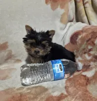 processed/62a75dc0-a6e6-4dad-a741-620cb29c5cdc/listing/73dd205d-1f92-406c-85fa-ab6fb1a547ef/e03d3a58-4636-4cd1-a636-134785d53486