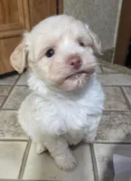 processed/62a75dc0-a6e6-4dad-a741-620cb29c5cdc/listing/f8186520-58bc-4010-925b-b7b899ad53de/202cc1fc-3cce-4bae-9e4b-df2b986ba611