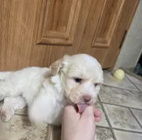 processed/62a75dc0-a6e6-4dad-a741-620cb29c5cdc/listing/f8186520-58bc-4010-925b-b7b899ad53de/6e22cd42-04de-4743-8b66-3b65fe1ffa44