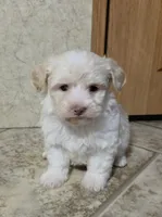 processed/62a75dc0-a6e6-4dad-a741-620cb29c5cdc/listing/f8186520-58bc-4010-925b-b7b899ad53de/80442f23-0c85-40a4-b559-1fc31a468ada