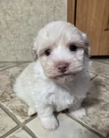 processed/62a75dc0-a6e6-4dad-a741-620cb29c5cdc/listing/f8186520-58bc-4010-925b-b7b899ad53de/dc71a181-b8ca-4379-97df-fae47539bb06