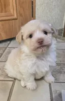 processed/62a75dc0-a6e6-4dad-a741-620cb29c5cdc/listing/f8186520-58bc-4010-925b-b7b899ad53de/fc0d96db-5b8e-4f63-9e78-003f05807b35