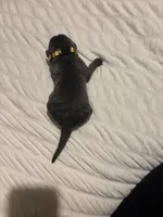 Yellow Female, a female Cane Corso for sale in Saginaw, MI – 2 of 5