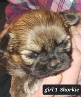 processed/62b3e756-1615-4061-bd2f-0497dd5d8ce1/listing/89fdaf42-8c60-46b7-b383-7d09c917f922/12d138e8-a0cd-4de1-973c-138a28f1d63d