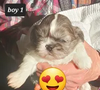 processed/62b3e756-1615-4061-bd2f-0497dd5d8ce1/listing/92d24342-40fd-48ad-960e-6ffa15ed3a51/1d2f61a8-bf04-40d5-af75-3eec5cf89cf0