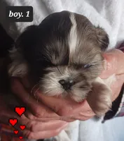 processed/62b3e756-1615-4061-bd2f-0497dd5d8ce1/listing/92d24342-40fd-48ad-960e-6ffa15ed3a51/c75e51f5-a2f5-47fc-9c2d-2e286ca07d89