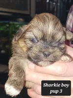 processed/62b3e756-1615-4061-bd2f-0497dd5d8ce1/listing/c4bc9b76-3849-4bb0-9765-7cdb73312cb5/3e9b0c49-4953-4410-90e0-24447f5ae50f