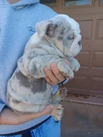 processed/62c1f196-2555-410a-8619-321b22e14678/listing/f53c53ce-9ed5-4f14-93fa-4dcea2d5ddc5/d32aabd1-f08d-4018-a00b-c2fa87c6088a