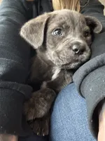 processed/62c95425-25f2-4486-9a9d-a8804f3b3974/listing/c1b5c986-9c3e-4c33-8a29-6e7a2eba4811/57293058-ffae-48cf-ab94-6750fed219a1