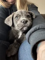 processed/62c95425-25f2-4486-9a9d-a8804f3b3974/listing/c1b5c986-9c3e-4c33-8a29-6e7a2eba4811/75a42bc3-3ea3-4ed9-af9a-c6d08243473a