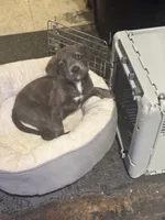 processed/62c95425-25f2-4486-9a9d-a8804f3b3974/listing/c1b5c986-9c3e-4c33-8a29-6e7a2eba4811/a2bae300-f241-4a8d-8ef6-f205b8ea9d55