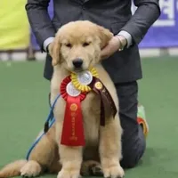 processed/62ca6bcb-e89d-4731-b44f-1a0e0e7890b7/facility/10fe432b-5c95-4135-a57a-78a60608febb