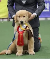 processed/62ca6bcb-e89d-4731-b44f-1a0e0e7890b7/facility/10fe432b-5c95-4135-a57a-78a60608febb