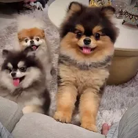 processed/62ca6bcb-e89d-4731-b44f-1a0e0e7890b7/facility/1ae9e5e4-231c-4fce-b0ea-fc6ab995a7d2