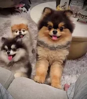 processed/62ca6bcb-e89d-4731-b44f-1a0e0e7890b7/facility/1ae9e5e4-231c-4fce-b0ea-fc6ab995a7d2