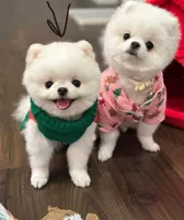 processed/62ca6bcb-e89d-4731-b44f-1a0e0e7890b7/facility/1bf5759e-c30c-48c9-b5d8-57c60e129fd8