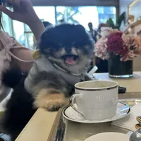 processed/62ca6bcb-e89d-4731-b44f-1a0e0e7890b7/facility/60851a5a-ada0-4046-84bc-fa72ccebc2a1