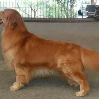 processed/62ca6bcb-e89d-4731-b44f-1a0e0e7890b7/facility/8eea013a-4e10-4657-a000-6ae5f5fa6ec5