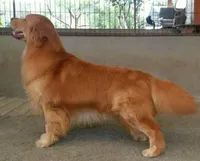 processed/62ca6bcb-e89d-4731-b44f-1a0e0e7890b7/facility/8eea013a-4e10-4657-a000-6ae5f5fa6ec5