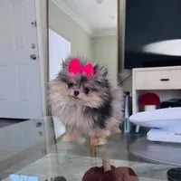 processed/62ca6bcb-e89d-4731-b44f-1a0e0e7890b7/facility/a9dd71b0-e738-47ac-8039-e666869747c2