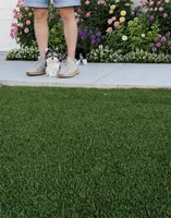 Sonic micro size incredible tiny , a male Morkie for sale in Eastvale, CA – 2 of 5